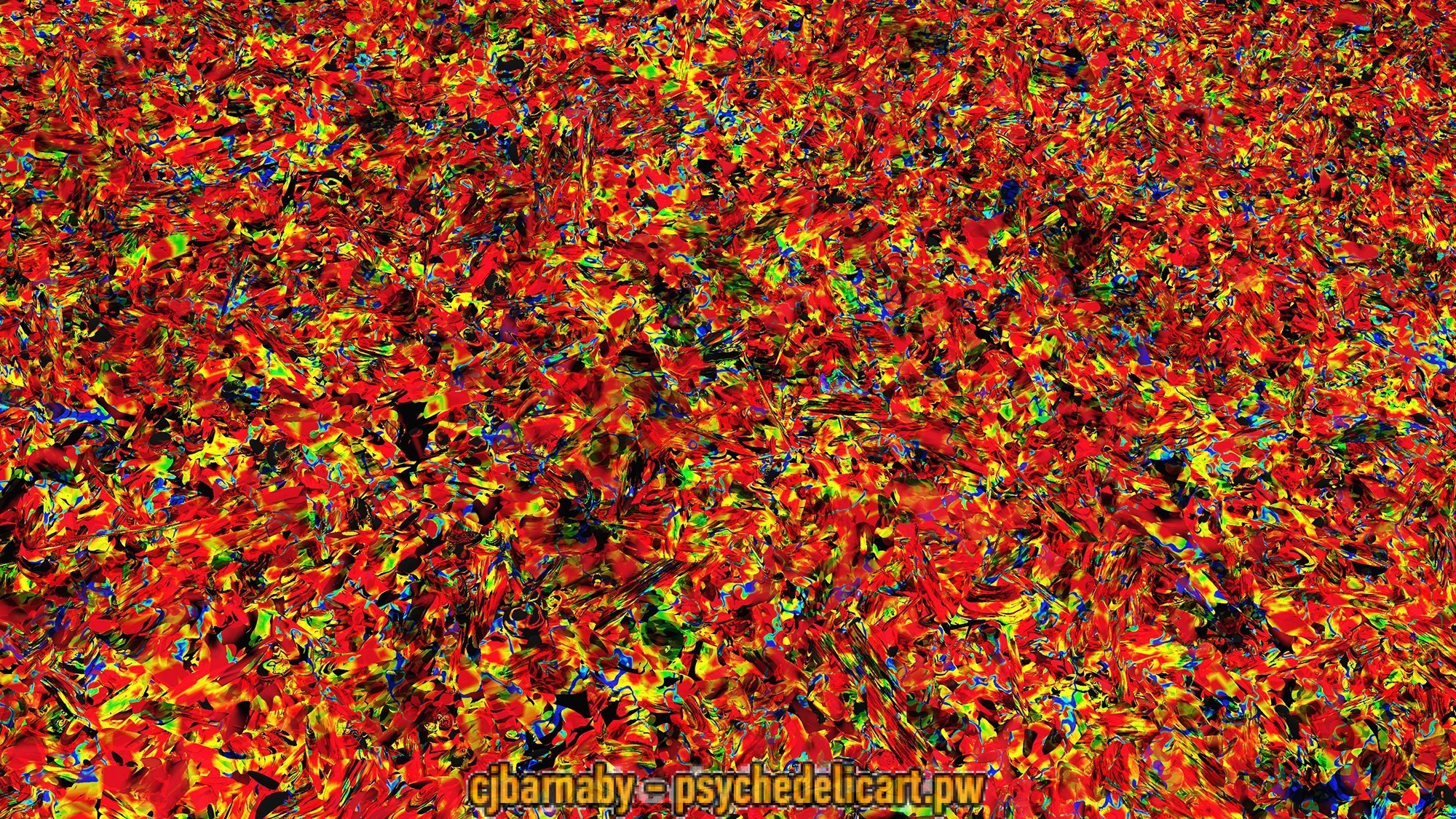2012Orderlandia1006.9_300dpi