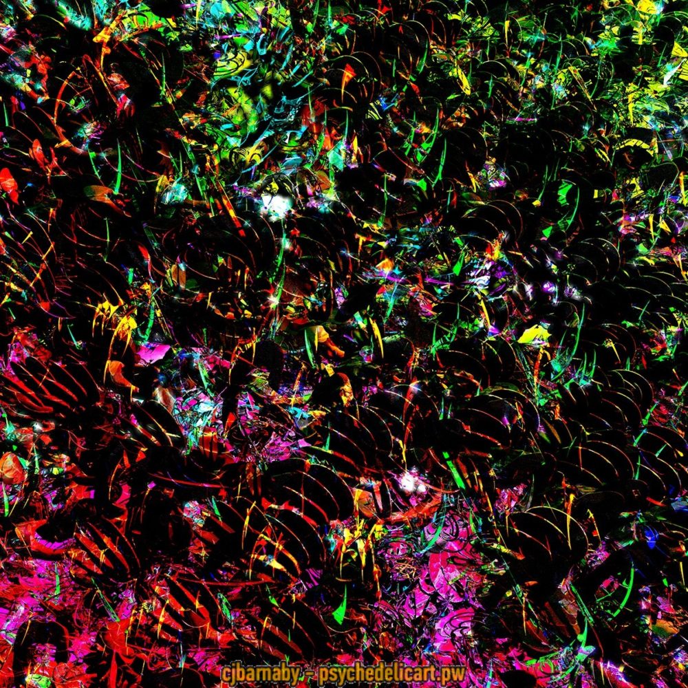 20161025 1 Deep Diving S