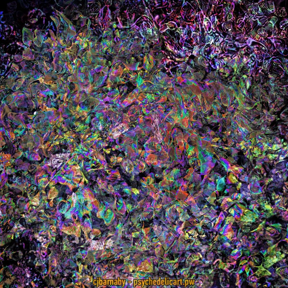20170225 7 Ex20161111 10 Deep Diving S