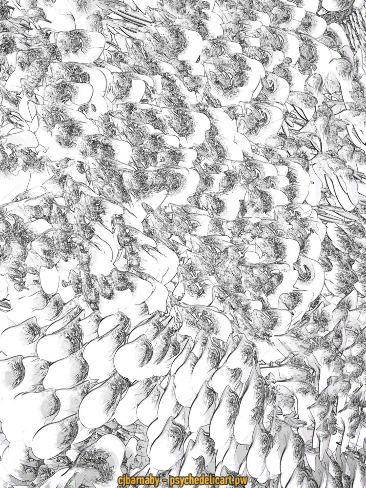 SpikeyShapesAsCanvas 60 2008 300